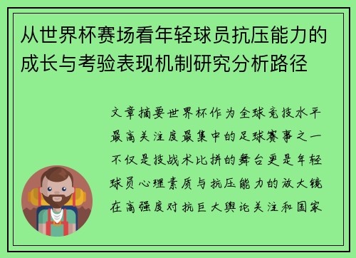 从世界杯赛场看年轻球员抗压能力的成长与考验表现机制研究分析路径